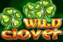 Wild Clover