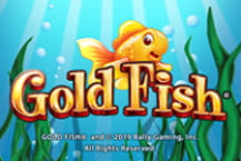 Gold Fish