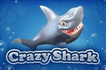 Crazy Shark