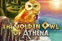 The Golden Owl of Athena