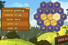 Bee to Zee 60