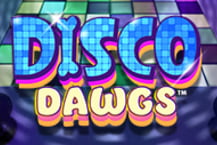 Disco Dawgs 96