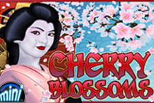 Cherry Blossoms Mini