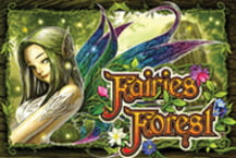 Fairies Forest