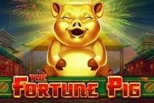 Fortune Pig