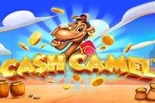 Cash Camel