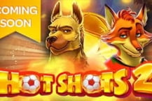 Hot Shots 2