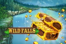 Wild Falls