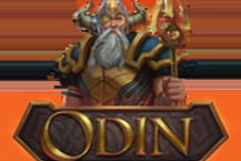 Odin: Protector of the Realms