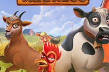 Animal Madness