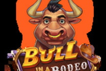 Bull in a Rodeo