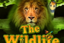 The Wildlife