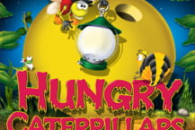 Hungry Caterpillars