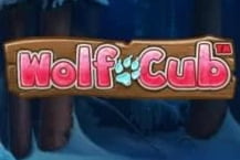 Wolf Cub
