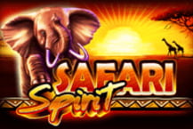 Safari Spirit