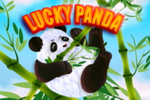 Lucky Panda