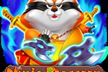 Ninja Raccoon