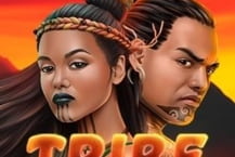 Tribe