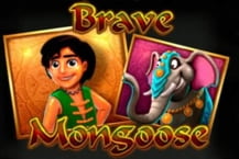 Brave Mongoose