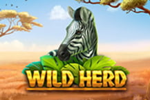 Wild Herd