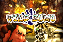 Wild Sumo