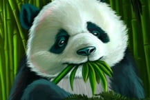 Rich Panda