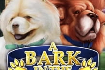 Bark in the Park