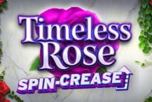 Timeless Rose