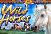 Wild Horses