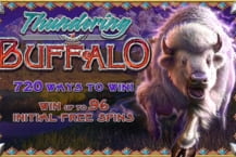 Thundering Buffalo