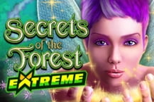 Secrets of the Forest Extreme