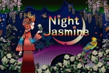 Night Jasmine