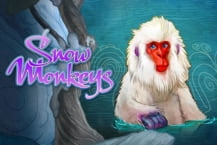 Snow Monkeys