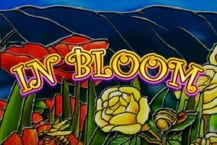 In Bloom