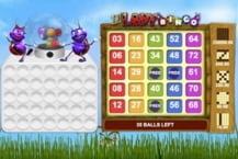 Lil' Lady Bingo