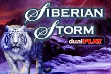 Siberian Storm Dual Play