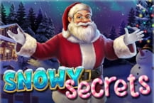 Snowy Secrets