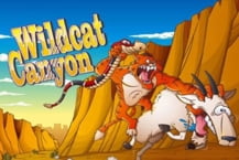 Wildcat Canyon (Dice)