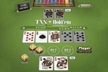 Texas Hold'Em Professional Series