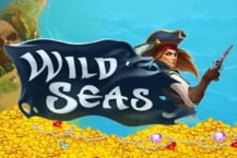Wild Seas
