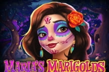 Maria's Marigolds