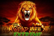 The Wild Life Extreme