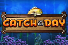 Catch of the Day
