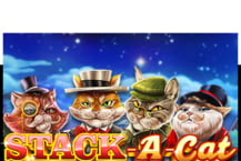 Stack a Cat