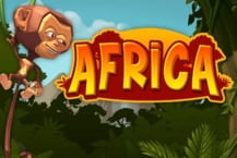 Wild Africa