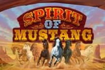 Spirit of Mustang