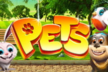Pets