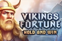 Vikings Fortune: Hold and Win