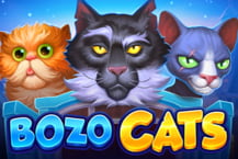 Bozo Cats