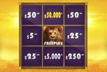 Hot Safari Scratchcard